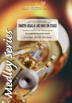 DIMITRI VEGAS & LIKE MIKE On Stage! – Image 3