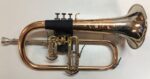 Protections pour Bugle