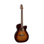 Guitare Seagull - Concert Hall