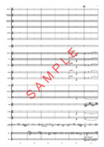 Festivitas – Image 3