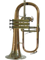 Bugle en Sib – Cardinal de Genève – Image 4