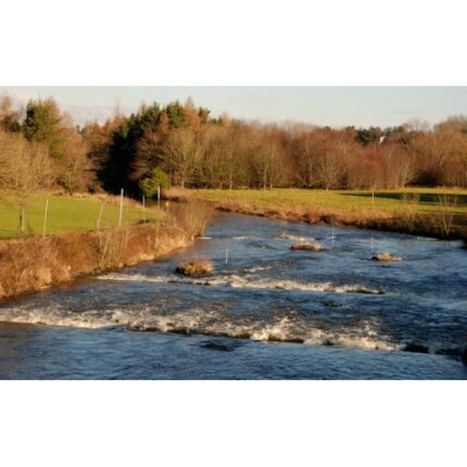 My Lagan Love (Fanfare)