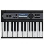 Clavier Casio - Lighted Keys Keyboards  LK-S450 – Image 5