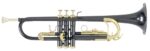 Trompette Sib Roy Benson TR-101 – Image 2